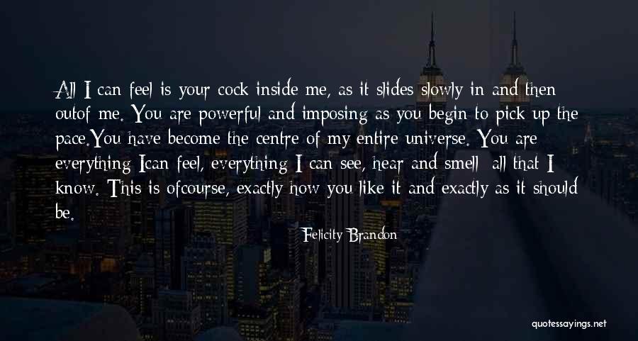 You Are My Universe Quotes By Felicity Brandon You Are My Universe Quotes By Felicity Brandon