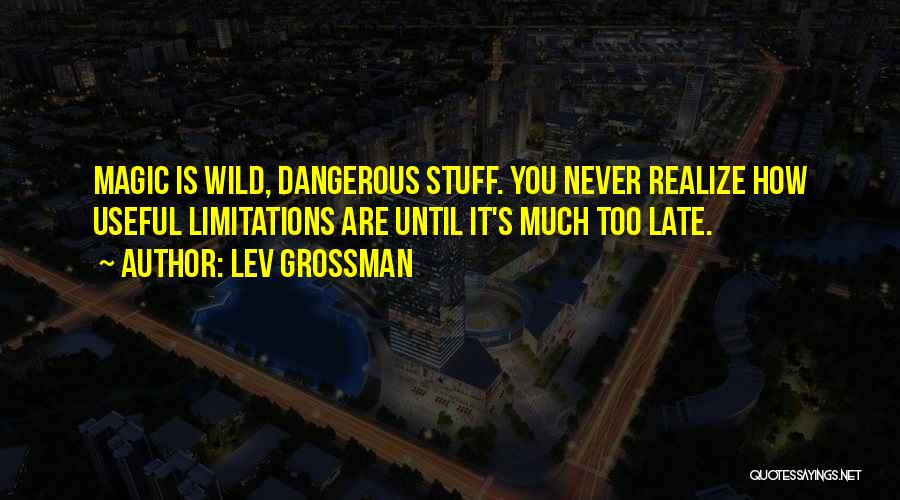 You Are Never Late Quotes By Lev Grossman
