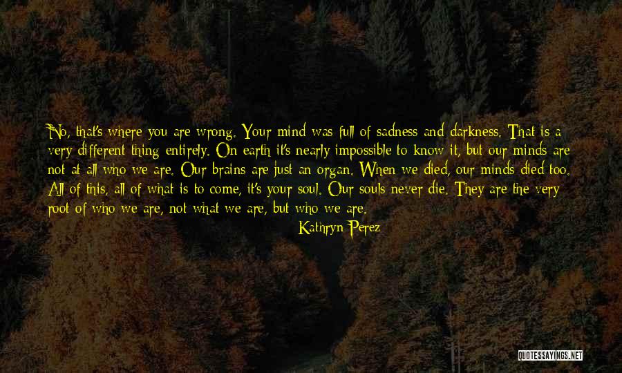 You Are Never Wrong Quotes By Kathryn Perez