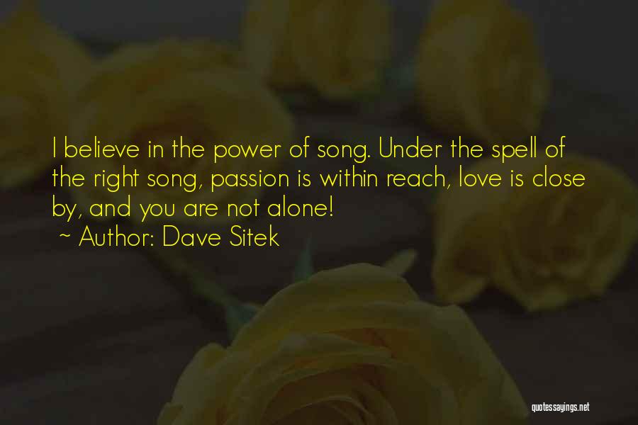 You Are Not Alone Love Quotes By Dave Sitek