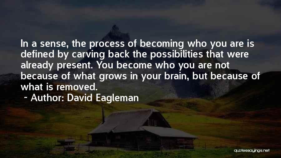 You Are Not Defined By Quotes By David Eagleman