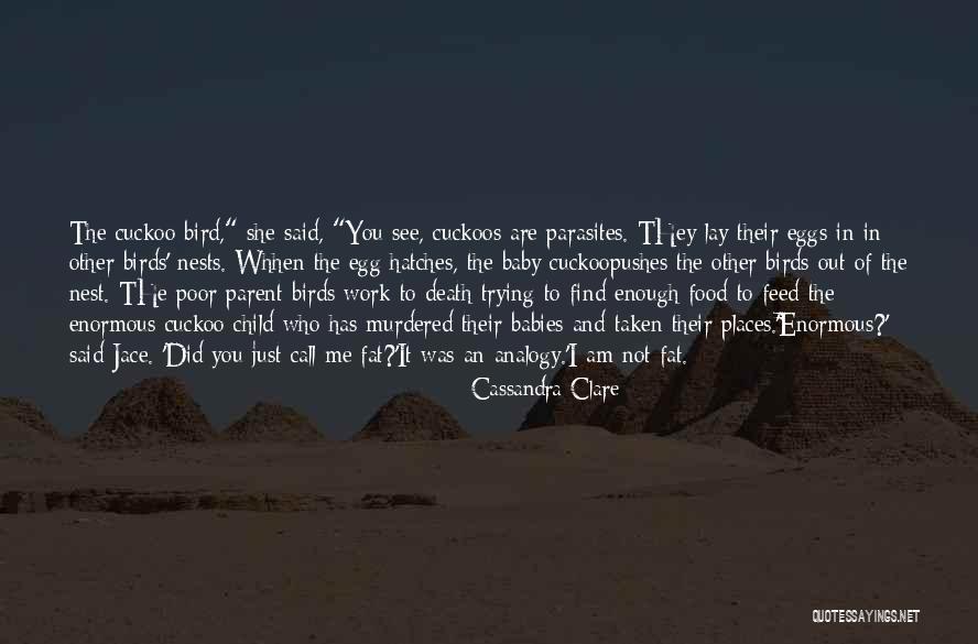 You Are Not Fat Quotes By Cassandra Clare You Are Not Fat Quotes By Cassandra Clare