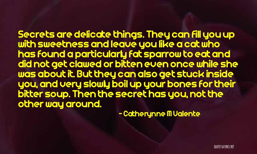 You Are Not Fat Quotes By Catherynne M Valente