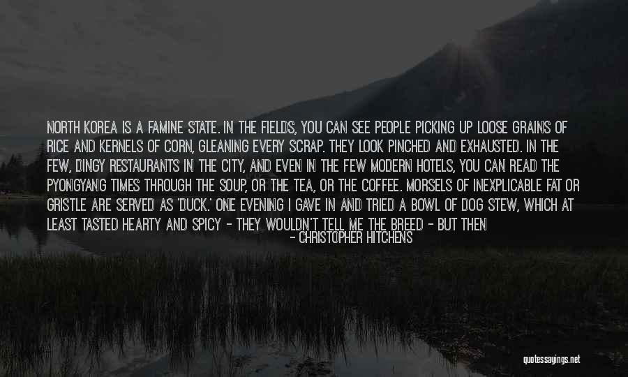 You Are Not Fat Quotes By Christopher Hitchens You Are Not Fat Quotes By Christopher Hitchens