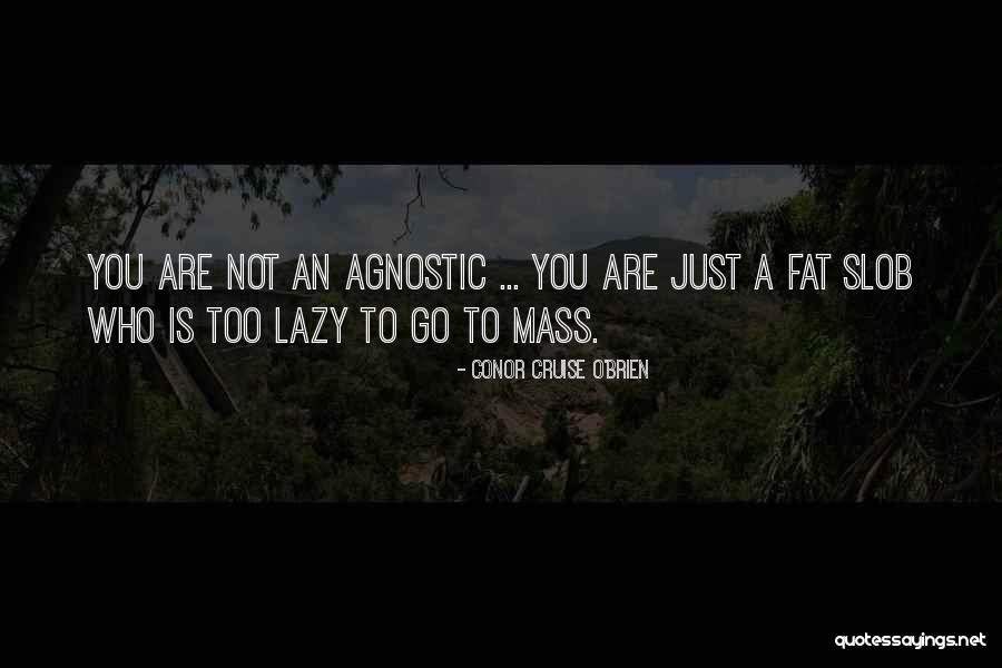 You Are Not Fat Quotes By Conor Cruise O'Brien