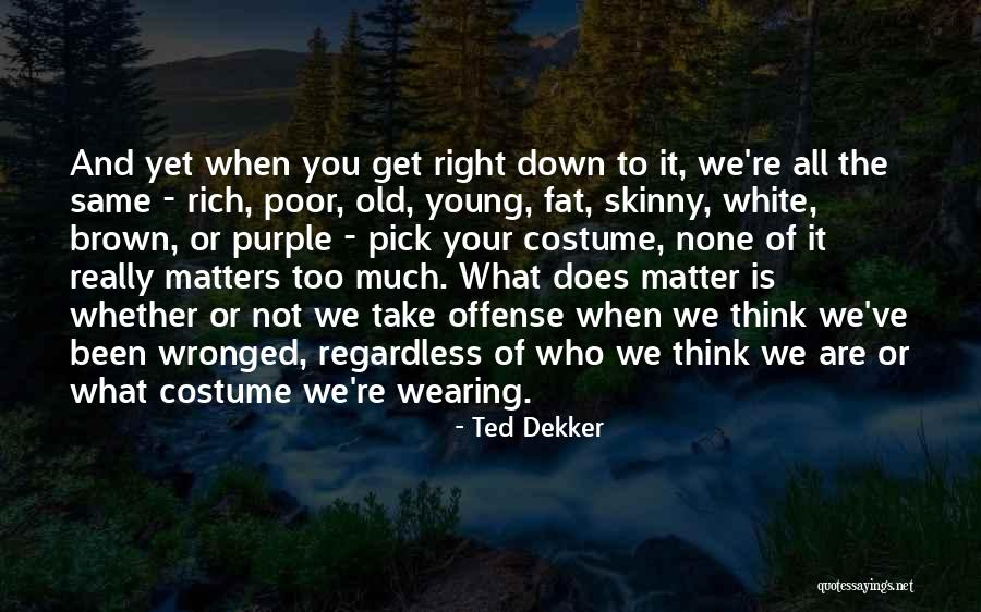 You Are Not Fat Quotes By Ted Dekker