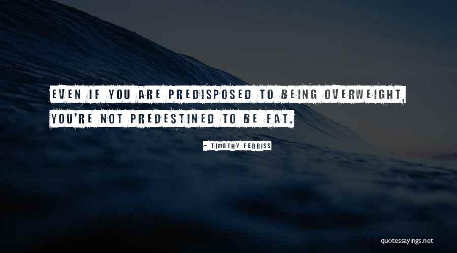 You Are Not Fat Quotes By Timothy Ferriss