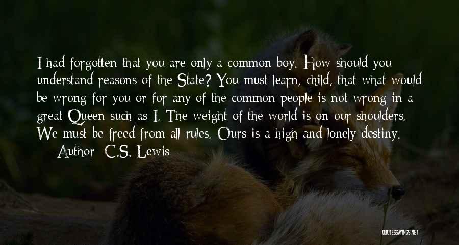 You Are Not Forgotten Quotes By C.S. Lewis