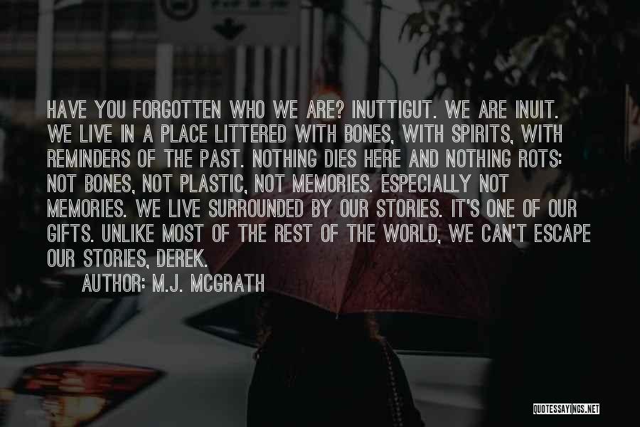 You Are Not Forgotten Quotes By M.J. McGrath