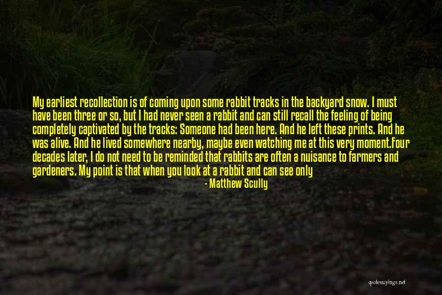 You Are Not Here When I Need You Quotes By Matthew Scully You Are Not Here When I Need You Quotes By Matthew Scully