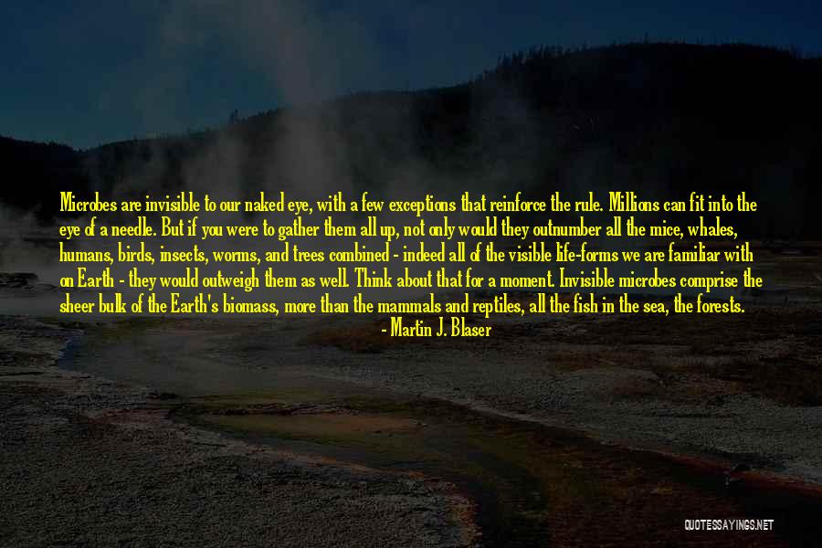 You Are Not Invisible Quotes By Martin J. Blaser You Are Not Invisible Quotes By Martin J. Blaser