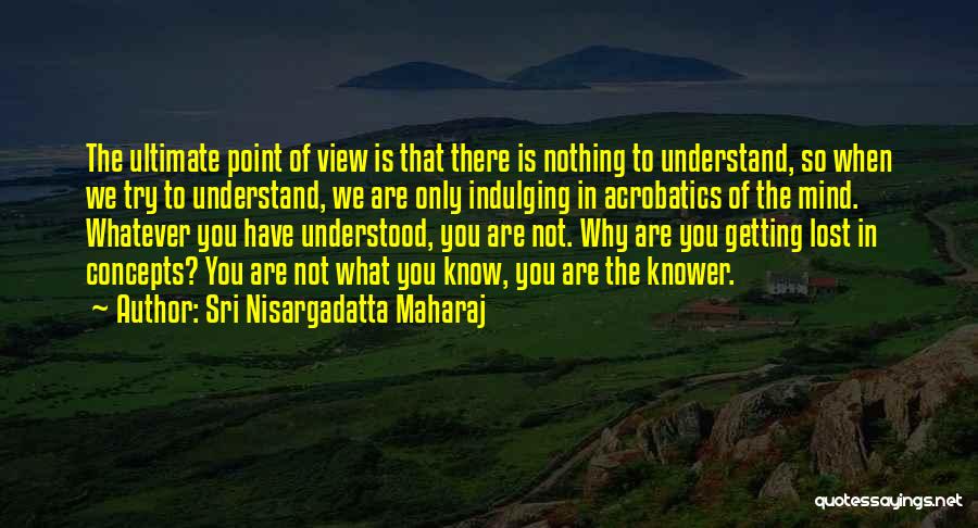 You Are Not Lost Quotes By Sri Nisargadatta Maharaj