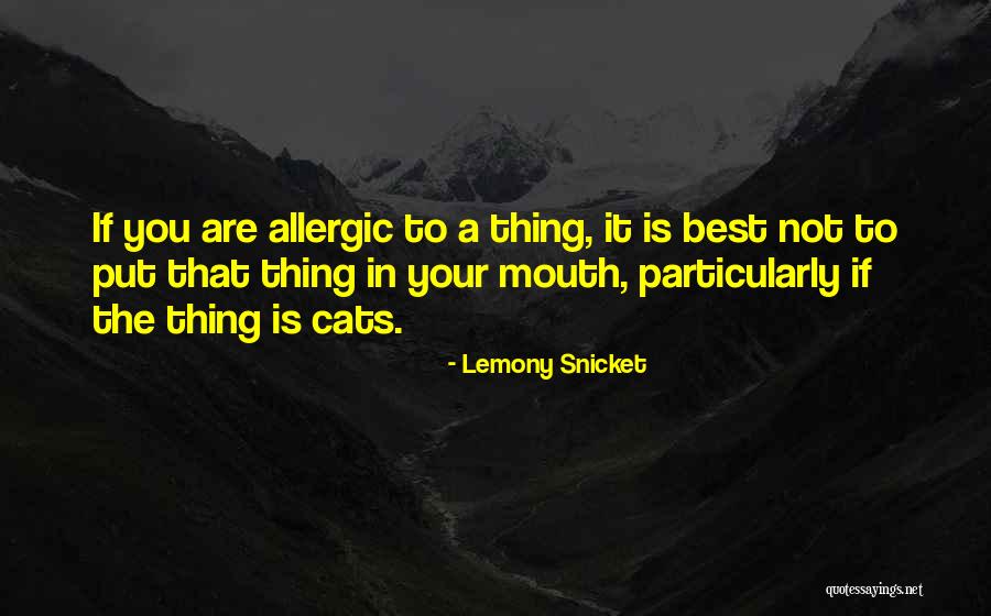 You Are Not The Best Quotes By Lemony Snicket