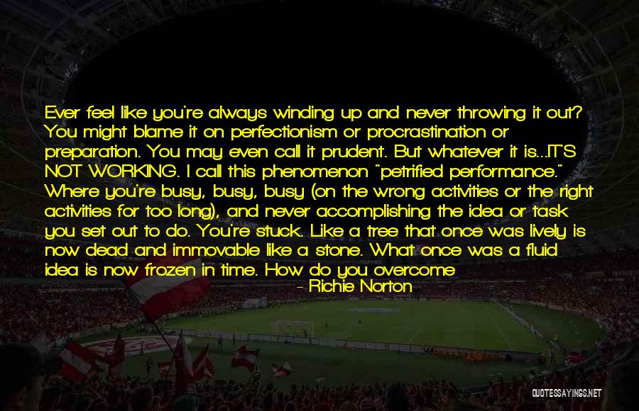 You Are Not To Blame Quotes By Richie Norton You Are Not To Blame Quotes By Richie Norton