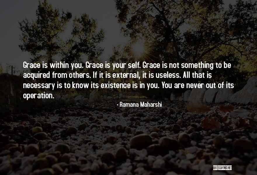 You Are Not Useless Quotes By Ramana Maharshi You Are Not Useless Quotes By Ramana Maharshi