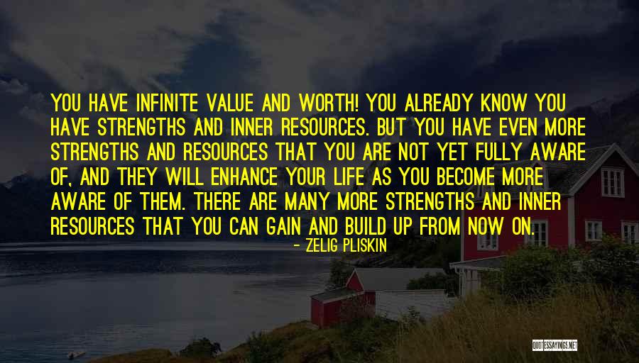 You Are Not Worth Quotes By Zelig Pliskin You Are Not Worth Quotes By Zelig Pliskin