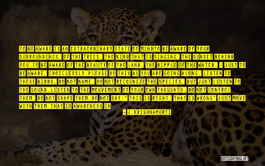 You Are Not Your Thoughts Quotes By J.Krishnamurti You Are Not Your Thoughts Quotes By J.Krishnamurti