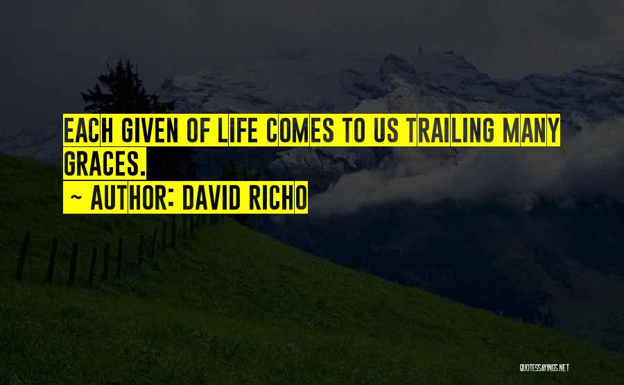 You Are Only Given One Life Quotes By David Richo