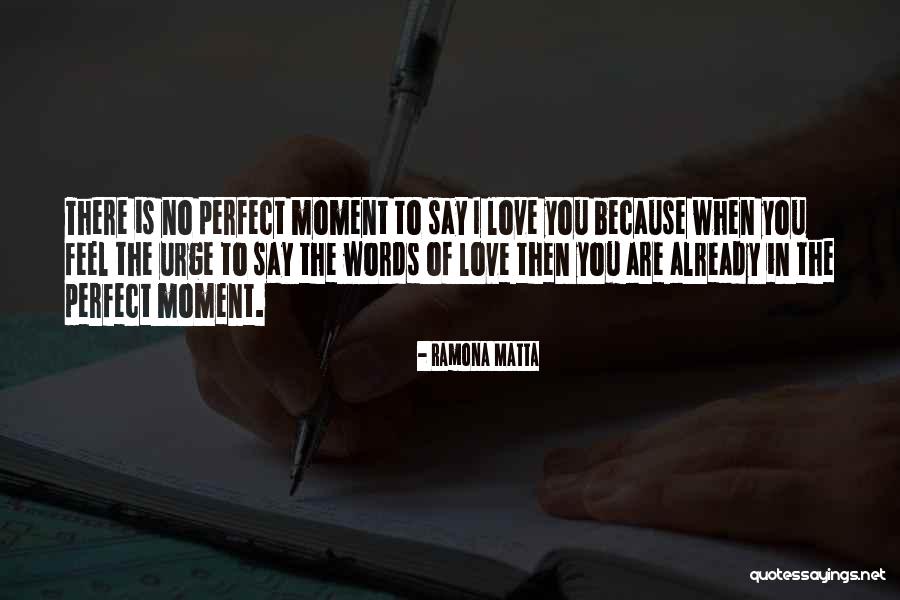 You Are Perfect Love Quotes By Ramona Matta