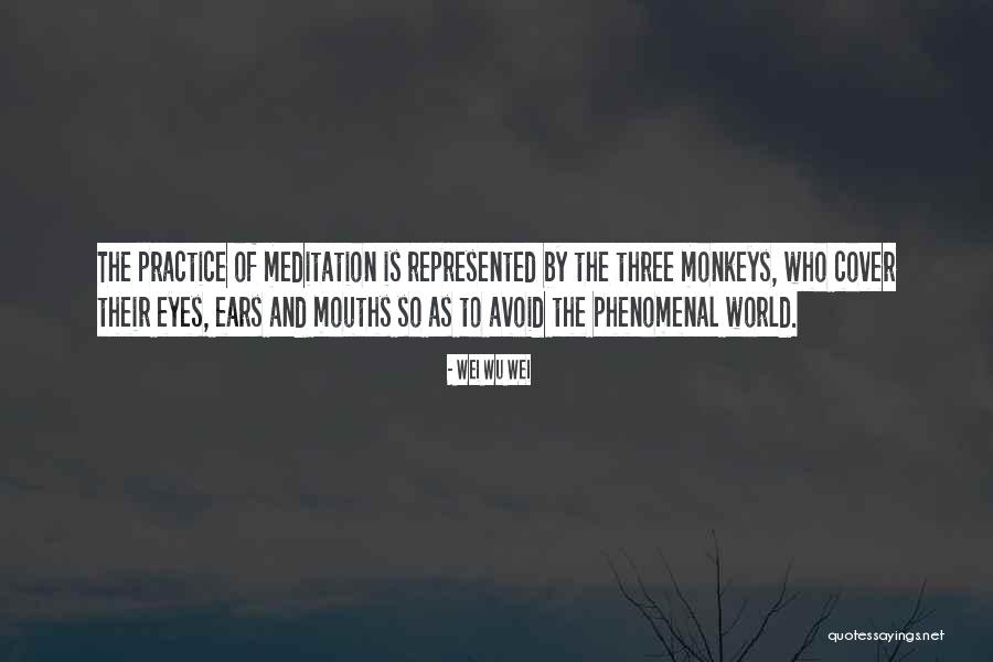 You Are Phenomenal Quotes By Wei Wu Wei You Are Phenomenal Quotes By Wei Wu Wei