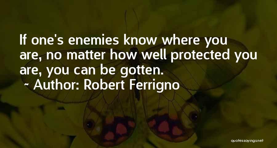 You Are Protected Quotes By Robert Ferrigno