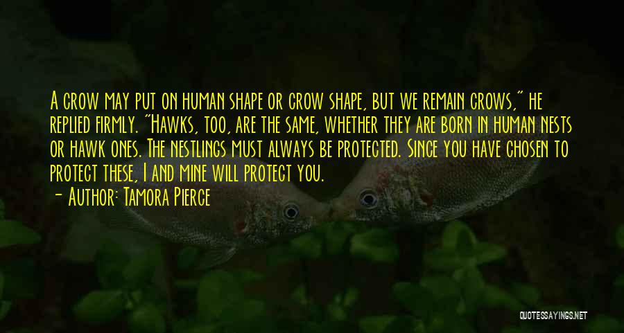 You Are Protected Quotes By Tamora Pierce