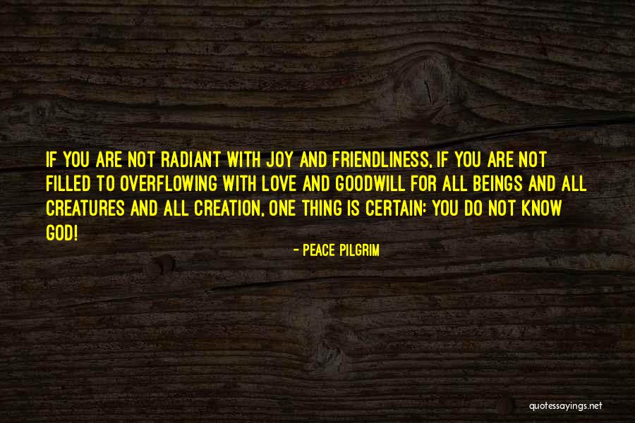 You Are Radiant Quotes By Peace Pilgrim You Are Radiant Quotes By Peace Pilgrim