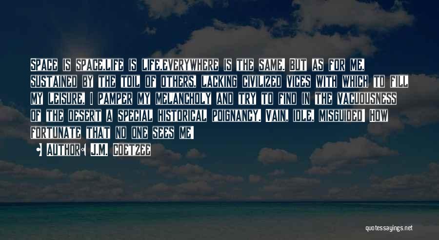 You Are Really Special To Me Quotes By J.M. Coetzee