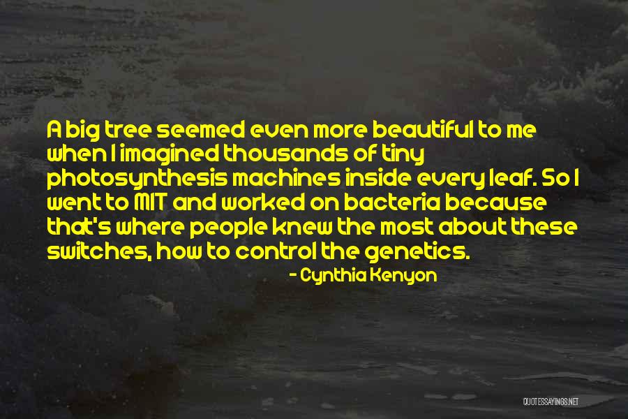 You Are So Beautiful Inside And Out Quotes By Cynthia Kenyon You Are So Beautiful Inside And Out Quotes By Cynthia Kenyon