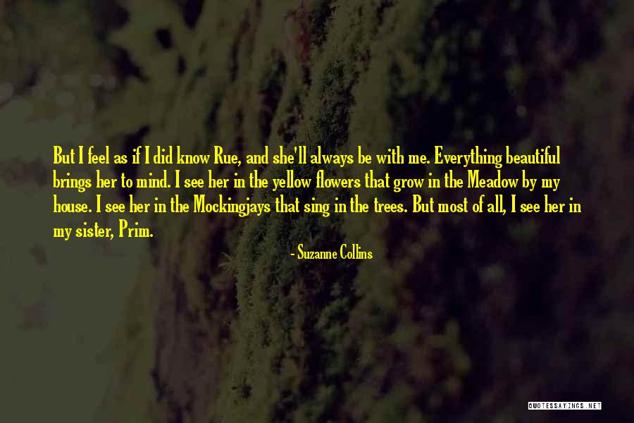 You Are So Beautiful Sister Quotes By Suzanne Collins You Are So Beautiful Sister Quotes By Suzanne Collins