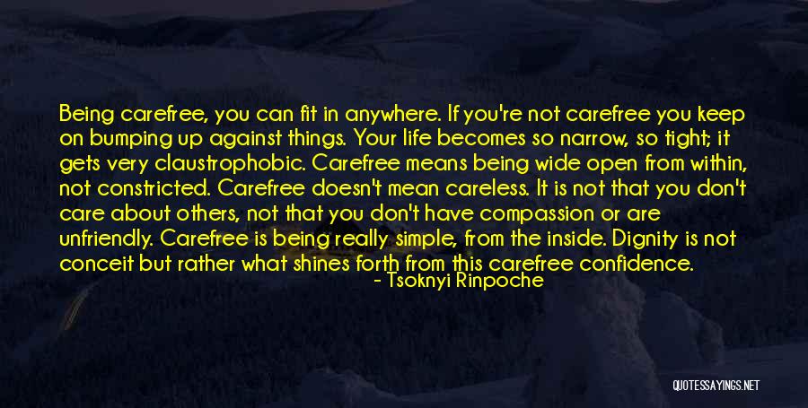 You Are So Careless Quotes By Tsoknyi Rinpoche You Are So Careless Quotes By Tsoknyi Rinpoche
