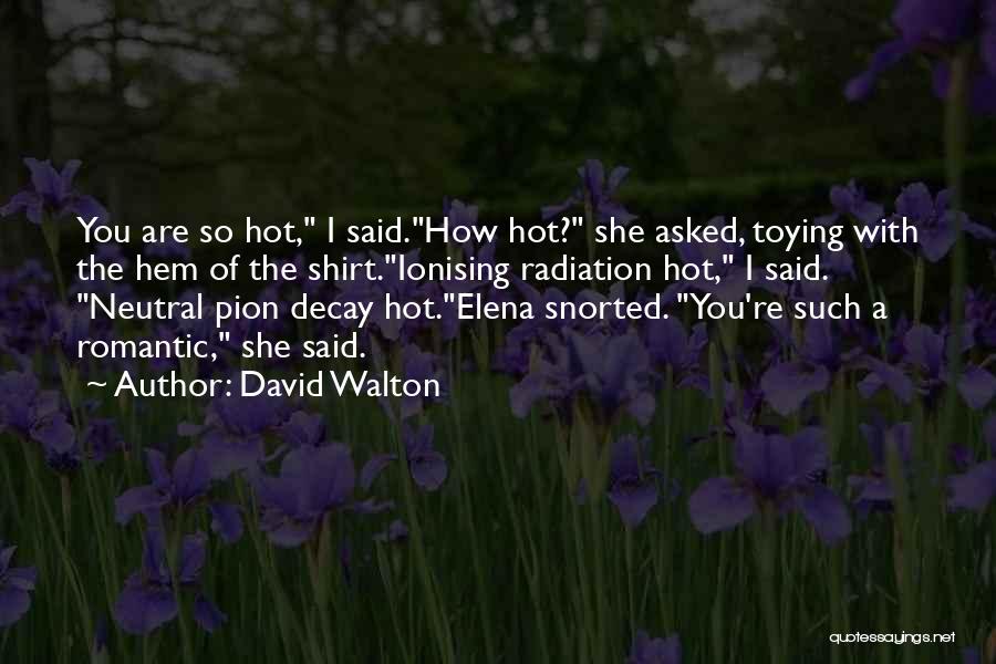 You Are So Hot Quotes By David Walton