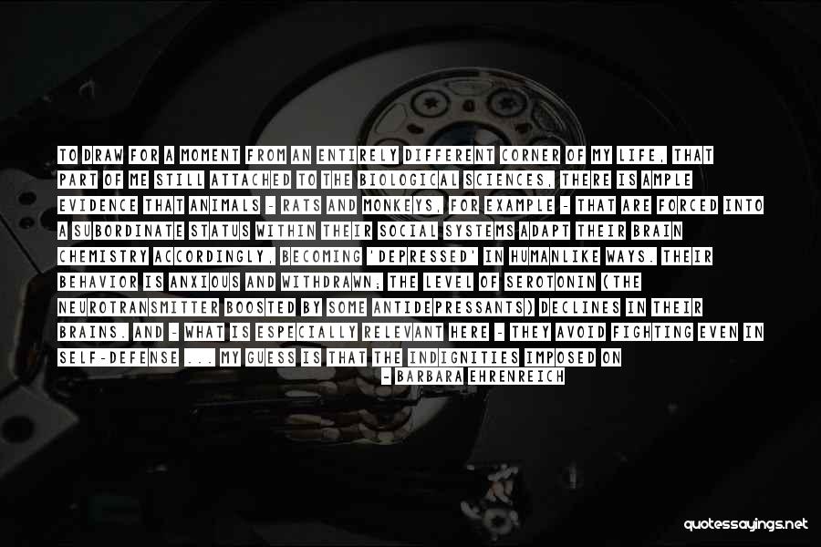 You Are Still Here Quotes By Barbara Ehrenreich You Are Still Here Quotes By Barbara Ehrenreich