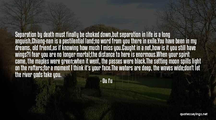 You Are Still Here Quotes By Du Fu You Are Still Here Quotes By Du Fu