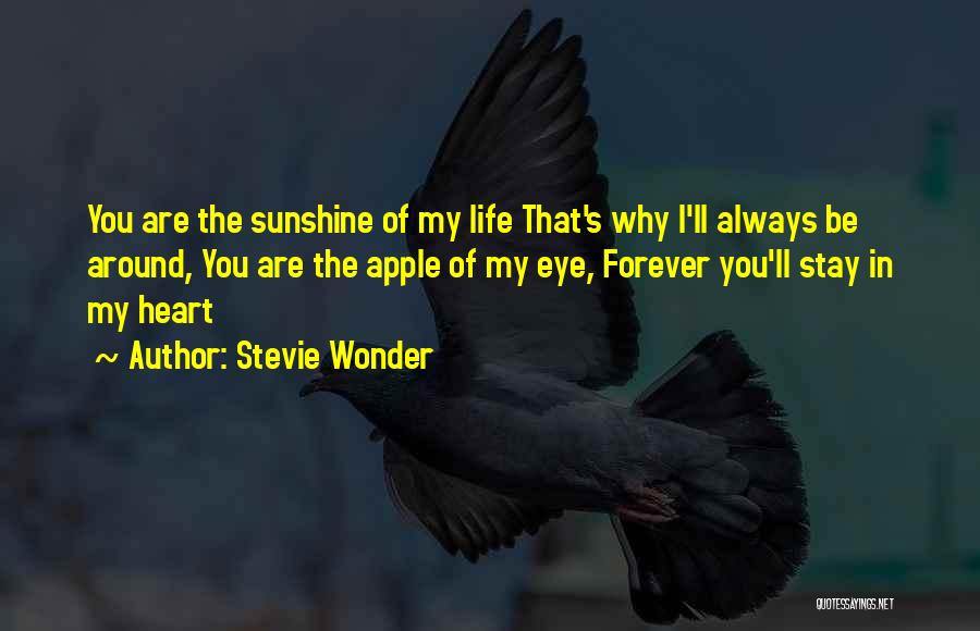 You Are The Apple Of My Eye Quotes By Stevie Wonder