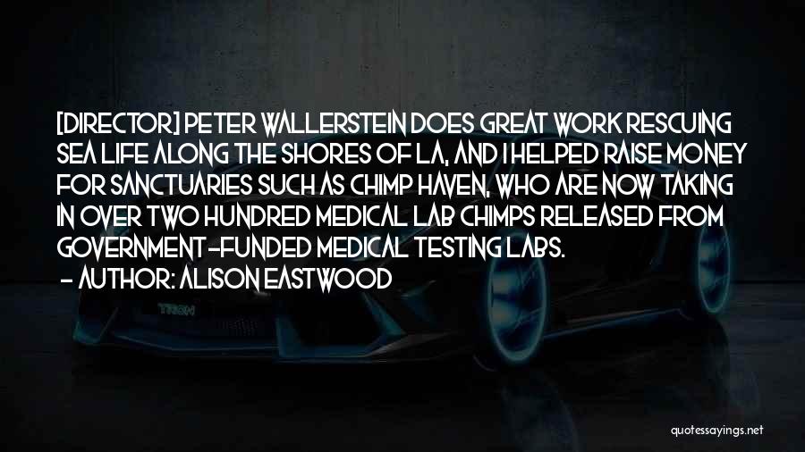 You Are The Director Of Your Own Life Quotes By Alison Eastwood