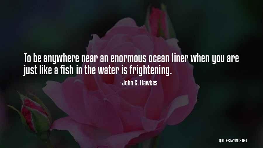 You Are The Ocean Quotes By John C. Hawkes You Are The Ocean Quotes By John C. Hawkes