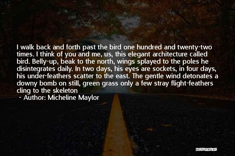 You Are The Past Quotes By Micheline Maylor