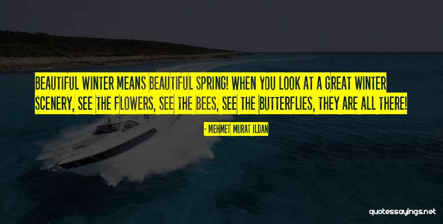 You Are The Scenery Quotes By Mehmet Murat Ildan You Are The Scenery Quotes By Mehmet Murat Ildan