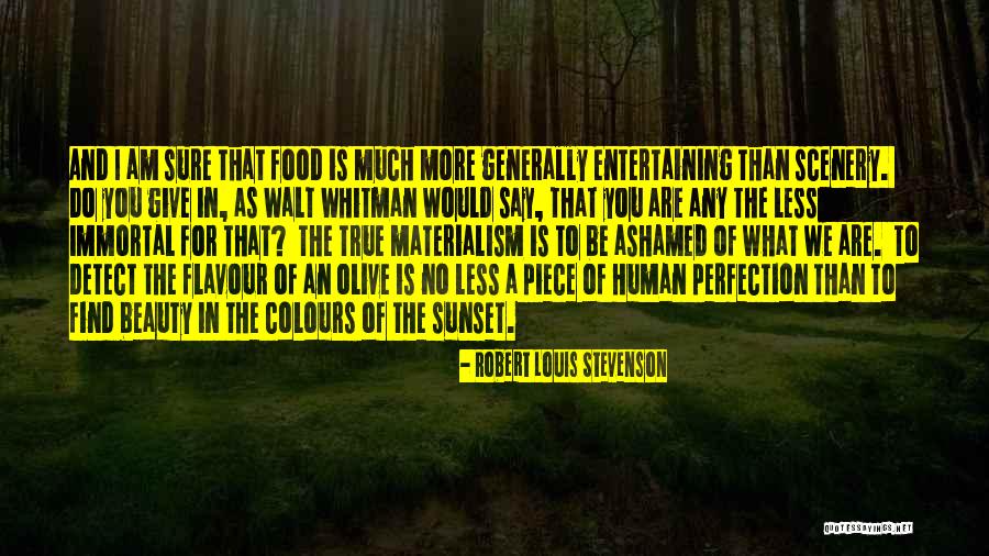 You Are The Scenery Quotes By Robert Louis Stevenson You Are The Scenery Quotes By Robert Louis Stevenson