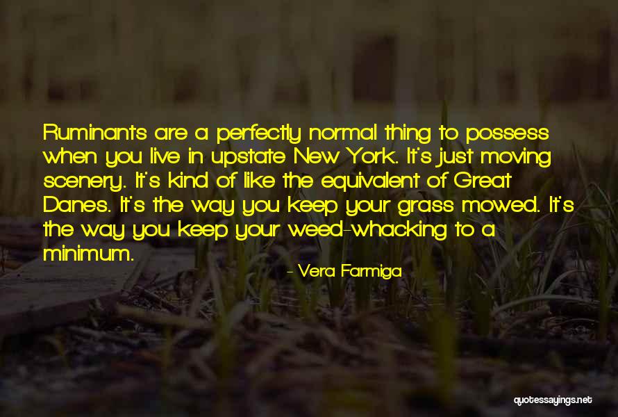 You Are The Scenery Quotes By Vera Farmiga You Are The Scenery Quotes By Vera Farmiga
