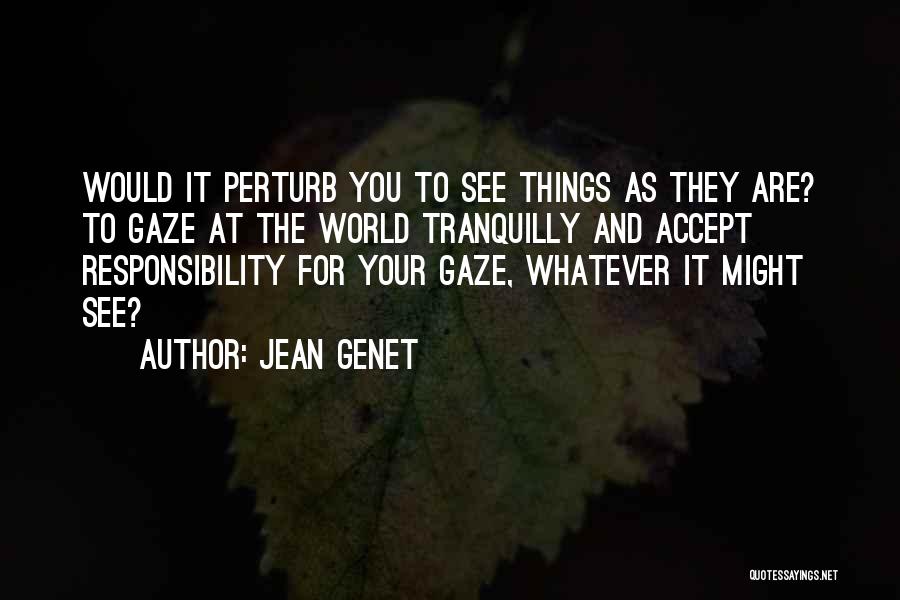 You Are The World Quotes By Jean Genet