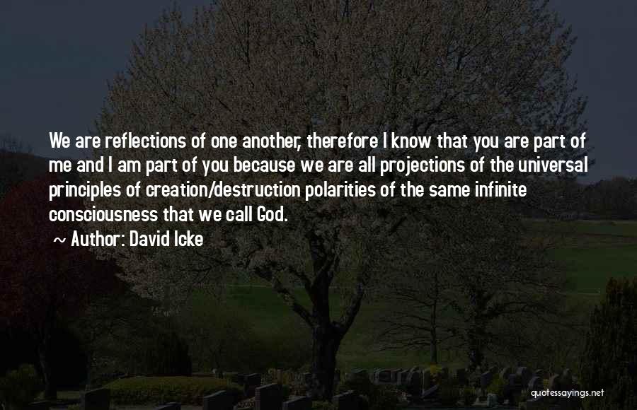 You Are Therefore I Am Quotes By David Icke