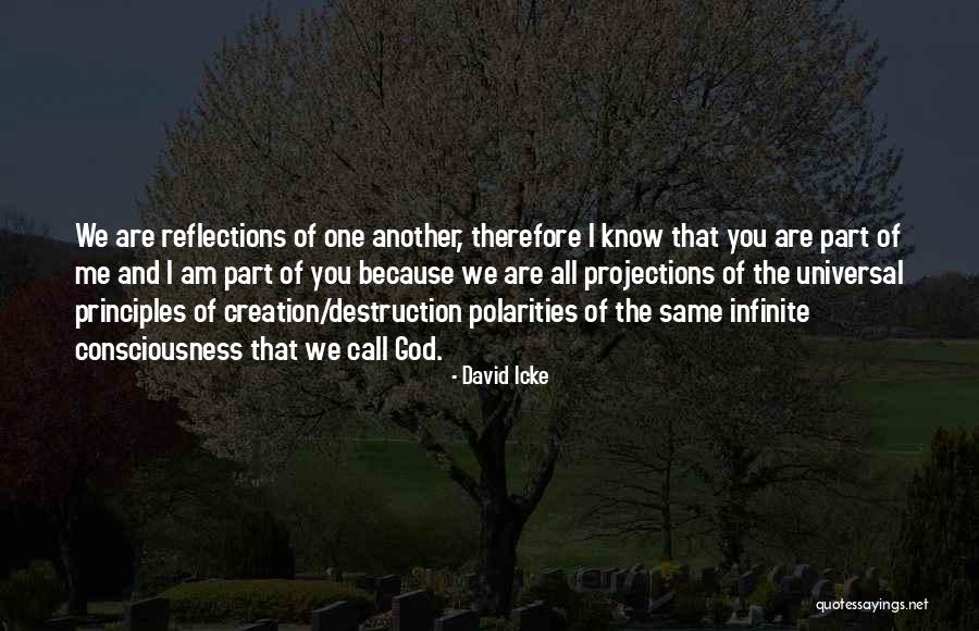 You Are Therefore I Am Quotes By David Icke