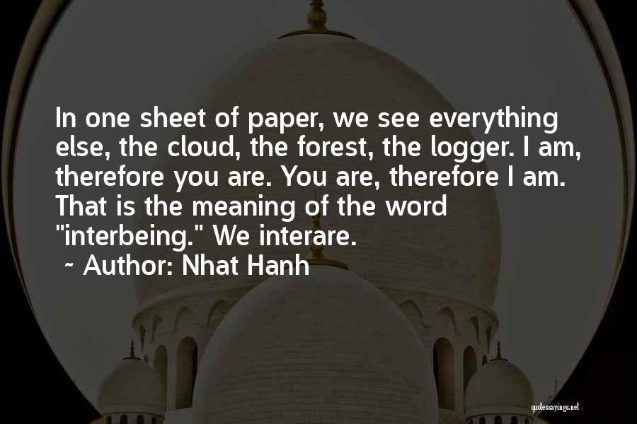 You Are Therefore I Am Quotes By Nhat Hanh