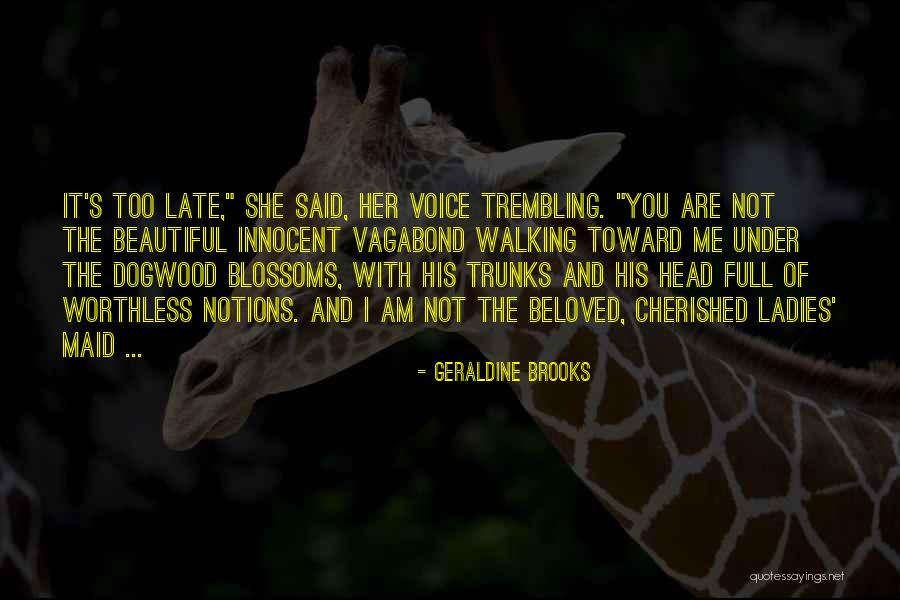 You Are Too Beautiful Quotes By Geraldine Brooks