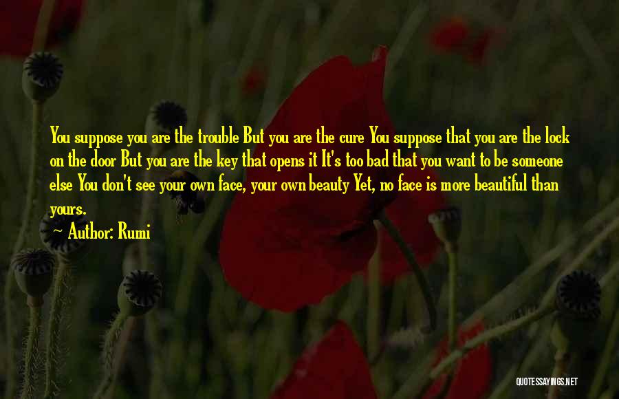You Are Too Beautiful Quotes By Rumi