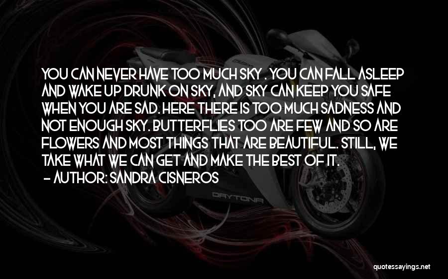 You Are Too Beautiful Quotes By Sandra Cisneros