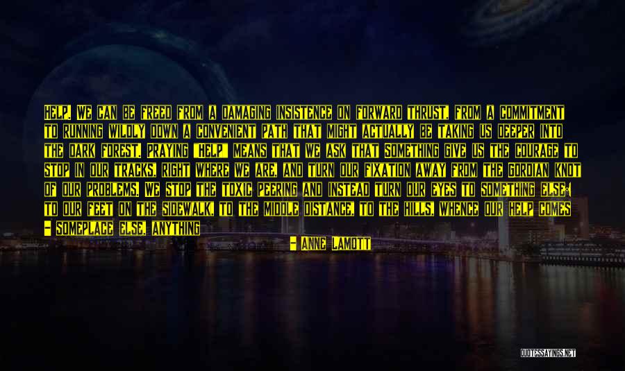 You Are Toxic Quotes By Anne Lamott You Are Toxic Quotes By Anne Lamott