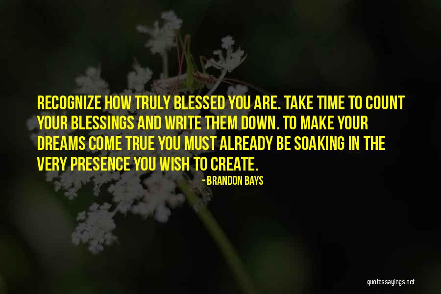 You Are Truly Blessed Quotes By Brandon Bays